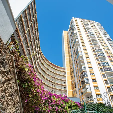 Estudio Bel Air Puerto de la Cruz (Tenerife)